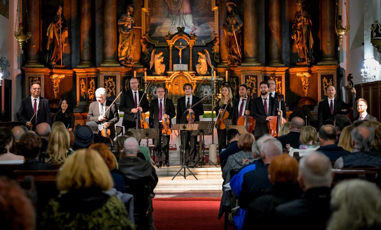 VBV_dan_8 (17) VBV_dan_8 (17)