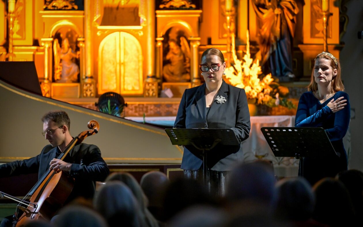 VBV_dan_8 (24) VBV_dan_8 (24)