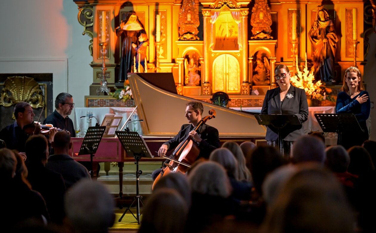 VBV_dan_8 (25) VBV_dan_8 (25)