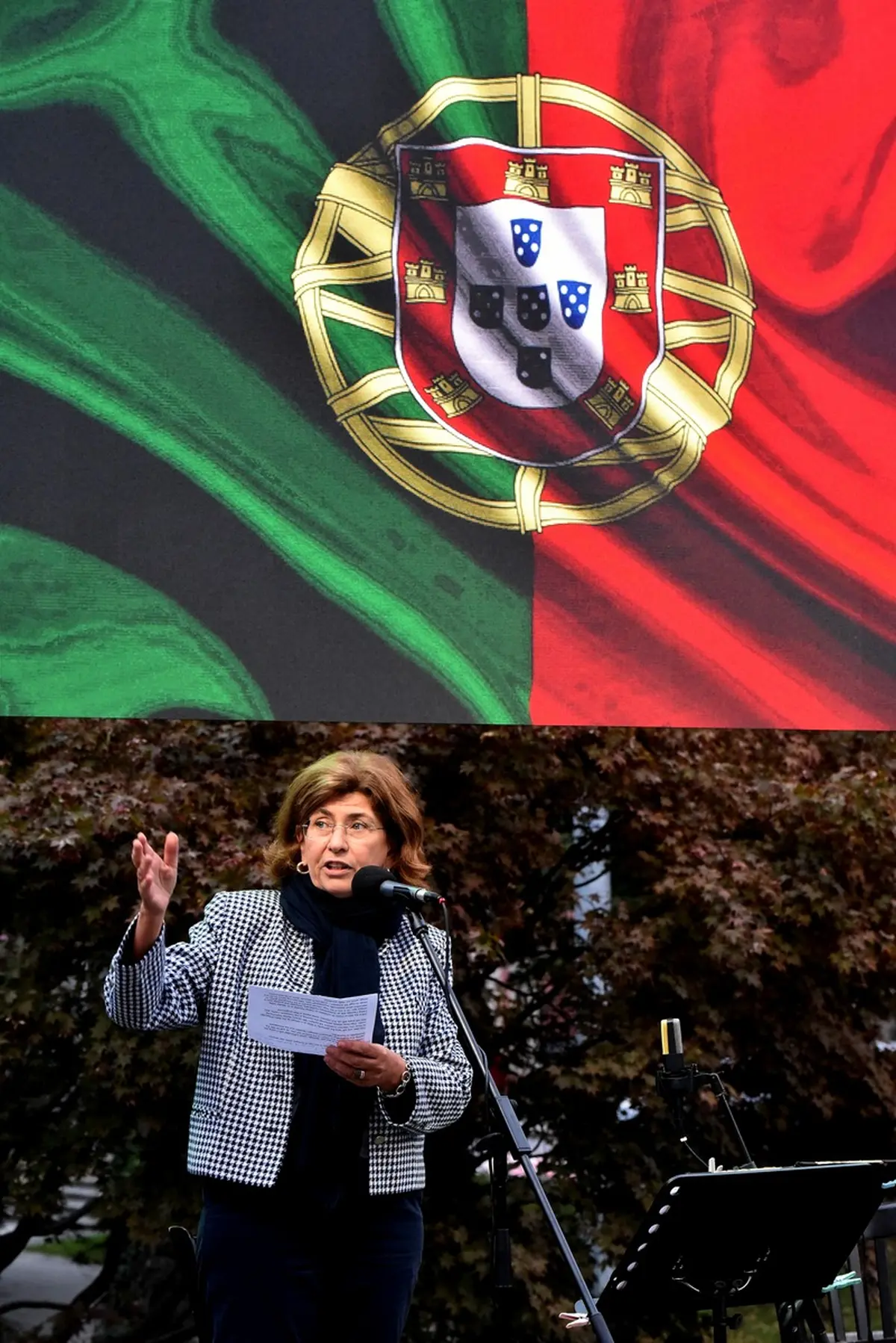 VBV_dan_9 (15) VBV_dan_9 (15)