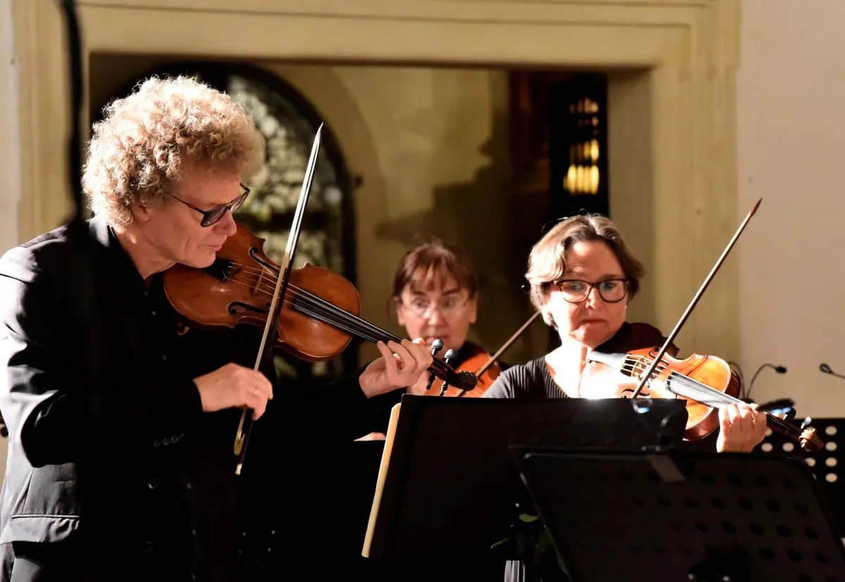 VBV_dan_9 (41) VBV_dan_9 (41)