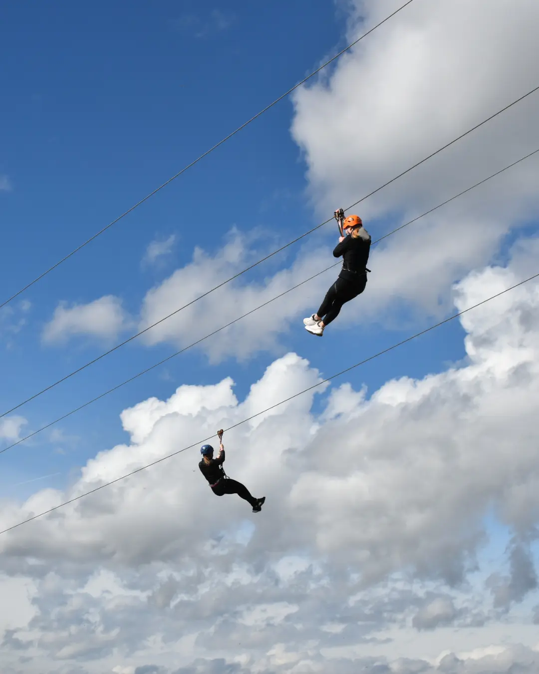 VINARIUM LENDAVA (15) VINARIUM LENDAVA (15)