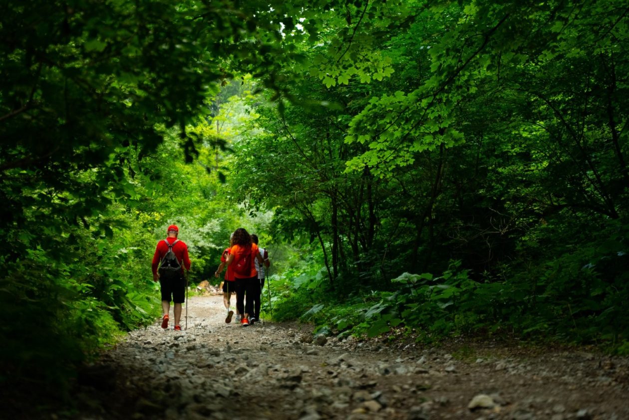 Var_zupanija_najsrdacnija_u_HR_photo_2