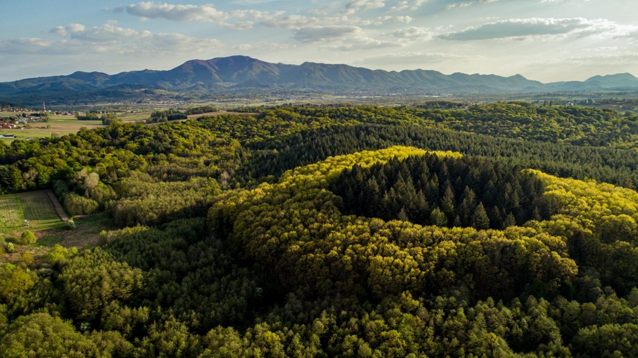 Var_zupanija_najsrdacnija_u_HR_photo_4