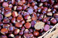 Varaždinska špajza16 Varaždinska špajza16