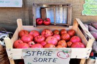 Varaždinska špajza17 Varaždinska špajza17