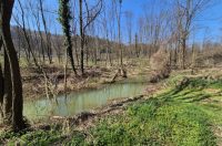 Varaždinske Toplice, pošumljavanje (1) Varaždinske Toplice, pošumljavanje (1)