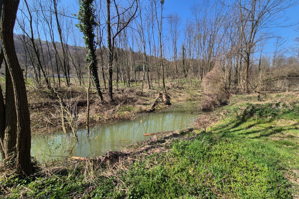 Varaždinske Toplice, pošumljavanje (1) Varaždinske Toplice, pošumljavanje (1)