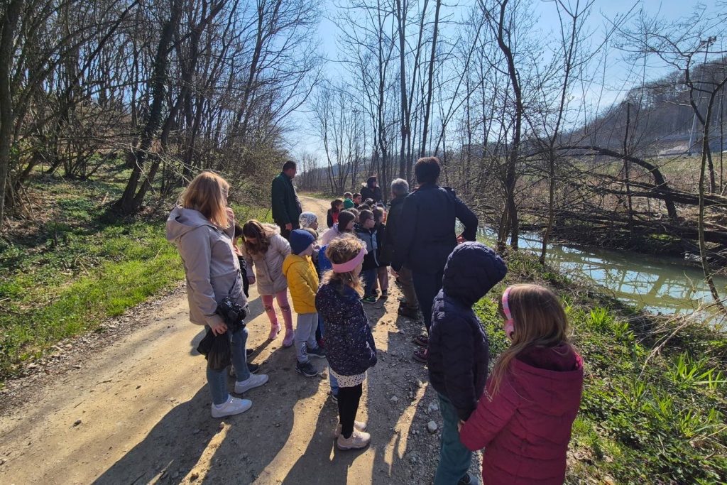 Varaždinske Toplice, pošumljavanje (2) Varaždinske Toplice, pošumljavanje (2)