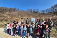 Varaždinske Toplice, pošumljavanje (3) Varaždinske Toplice, pošumljavanje (3)