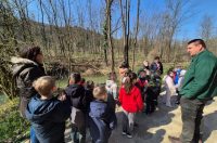 Varaždinske Toplice, pošumljavanje (5) Varaždinske Toplice, pošumljavanje (5)