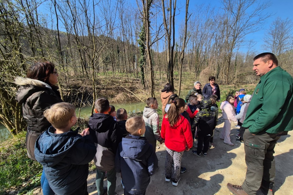 Varaždinske Toplice, pošumljavanje (5) Varaždinske Toplice, pošumljavanje (5)