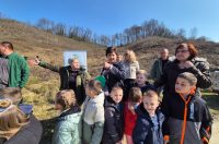 Varaždinske Toplice, pošumljavanje (8) Varaždinske Toplice, pošumljavanje (8)