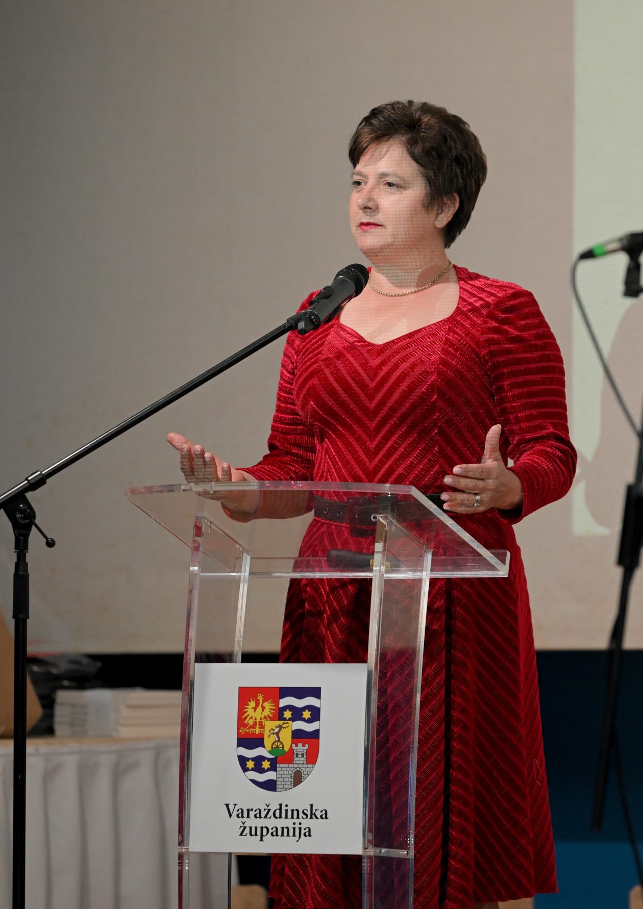 Varazdinske_Toplice (13) Varazdinske_Toplice (13)