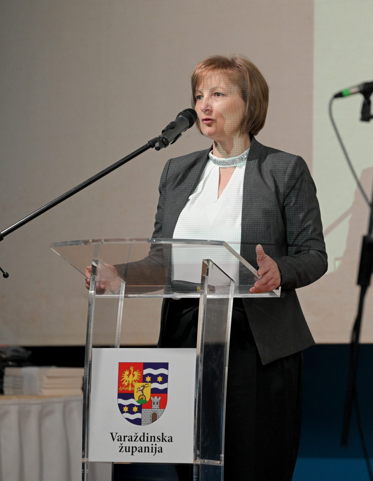 Varazdinske_Toplice (8) Varazdinske_Toplice (8)