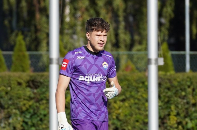 doroshenko nk varteks