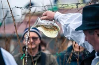 Vincekovo 10 – gvt