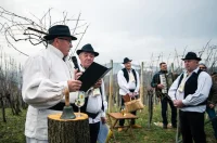 Vincekovo 11 – gvt