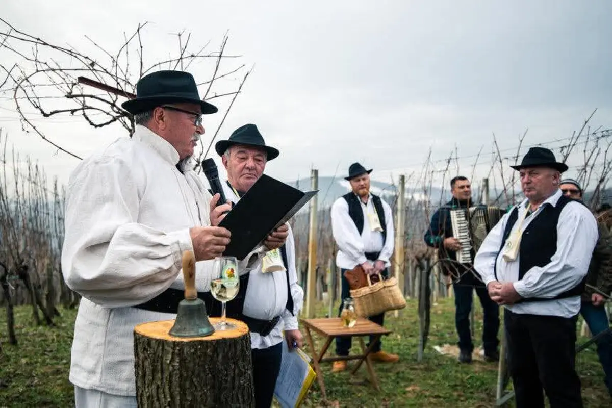 Vincekovo 11 – gvt