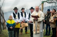 Vincekovo 12 – gvt