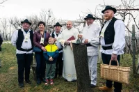 Vincekovo 13 – gvt