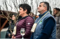 Vincekovo 14 – gvt