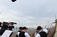 Vincekovo 17 – gvt