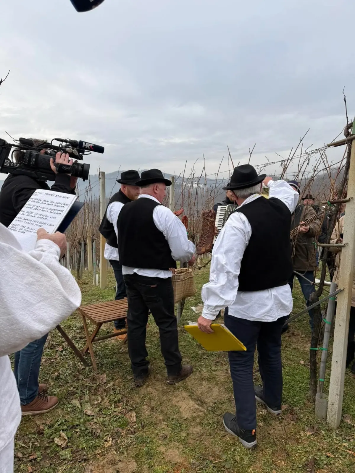 Vincekovo 17 – gvt