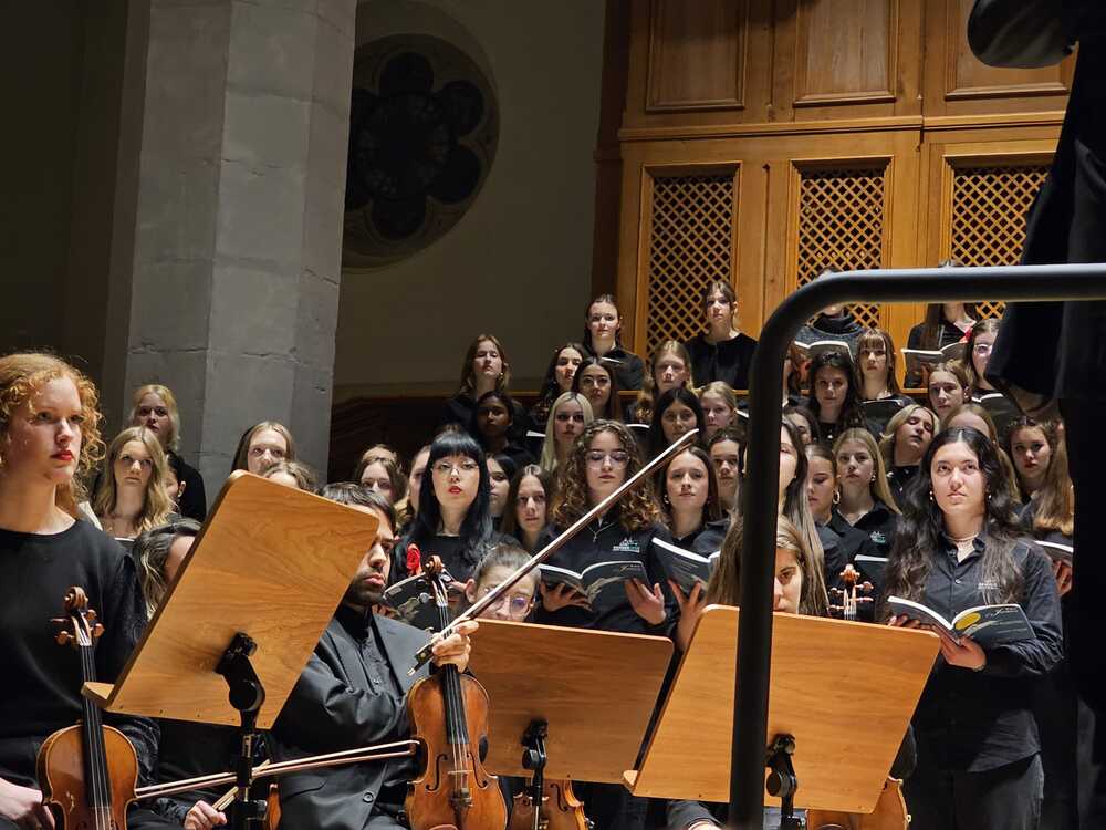 WhatsApp Image 2026-03-29 at 12.35.39 8