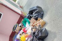 WhatsApp Image 2026-04-11 at 13.48.53