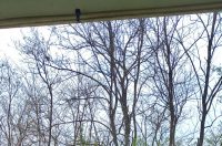 WhatsApp Image 2026-04-13 at 14.37.59