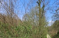 WhatsApp Image 2026-04-13 at 14.59.41 (6)