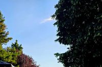 WhatsApp Slika 2025-07-21 u 08.21.42_a72d4367