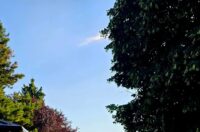 WhatsApp Slika 2025-07-21 u 08.21.42_a72d4367 WhatsApp Slika 2025-07-21 u 08.21.42_a72d4367