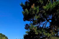 WhatsApp Slika 2025-07-21 u 08.21.45_4a1aba3e WhatsApp Slika 2025-07-21 u 08.21.45_4a1aba3e