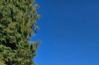 WhatsApp Slika 2025-07-21 u 08.21.45_a29d7ef6 WhatsApp Slika 2025-07-21 u 08.21.45_a29d7ef6