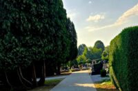 WhatsApp Slika 2025-07-21 u 08.21.45_c5427c24 WhatsApp Slika 2025-07-21 u 08.21.45_c5427c24