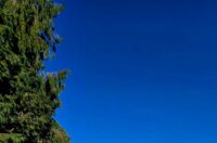 WhatsApp Slika 2025-07-21 u 08.21.45_f8139ef9 WhatsApp Slika 2025-07-21 u 08.21.45_f8139ef9