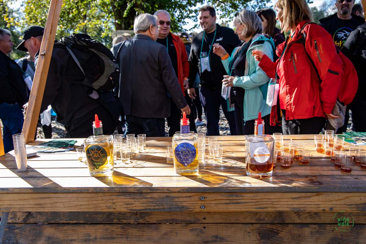 Wine & Walk Cestica foto – Spot doo (10) Wine & Walk Cestica foto – Spot doo (10)