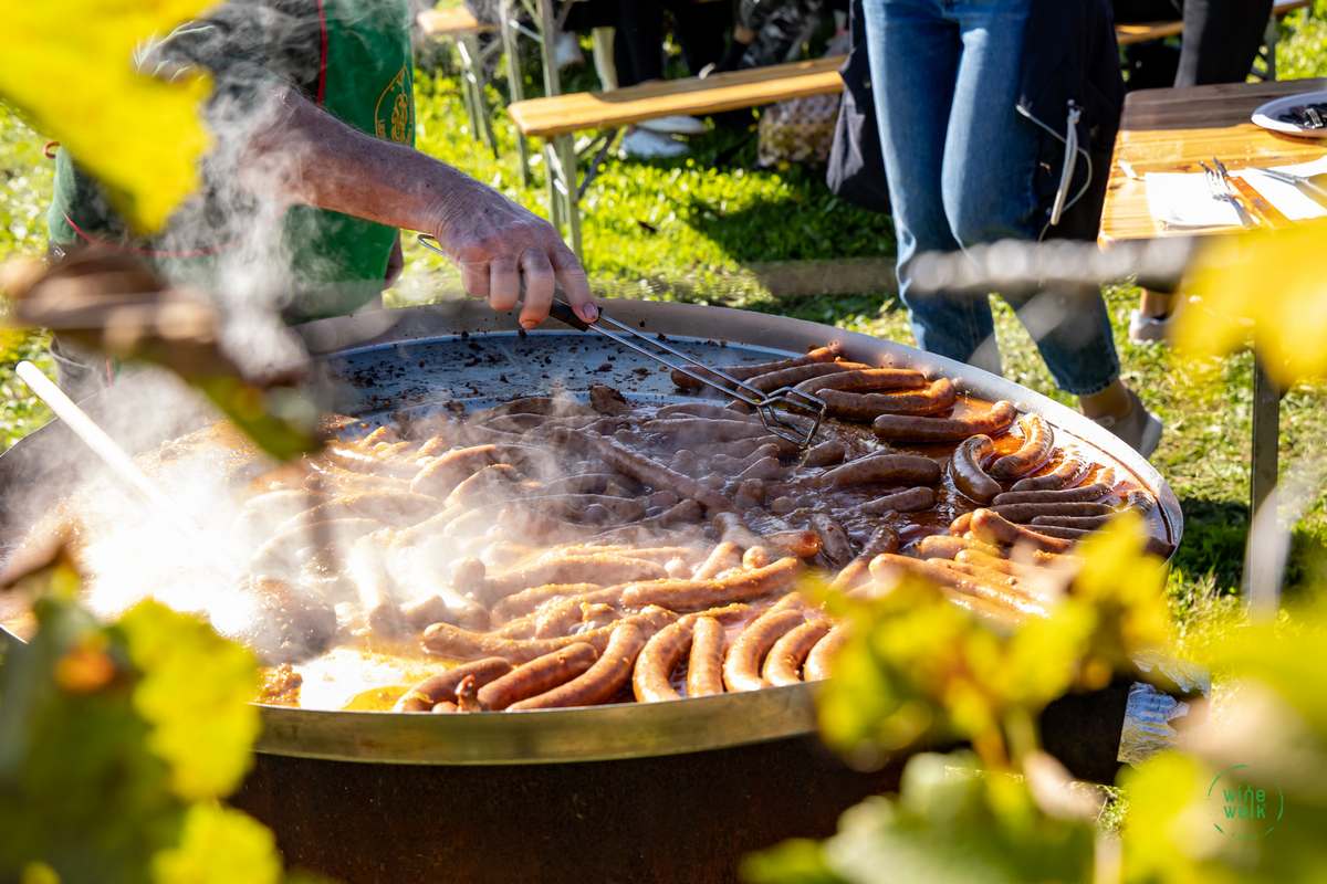 Wine & Walk Cestica foto – Spot doo (23) Wine & Walk Cestica foto – Spot doo (23)