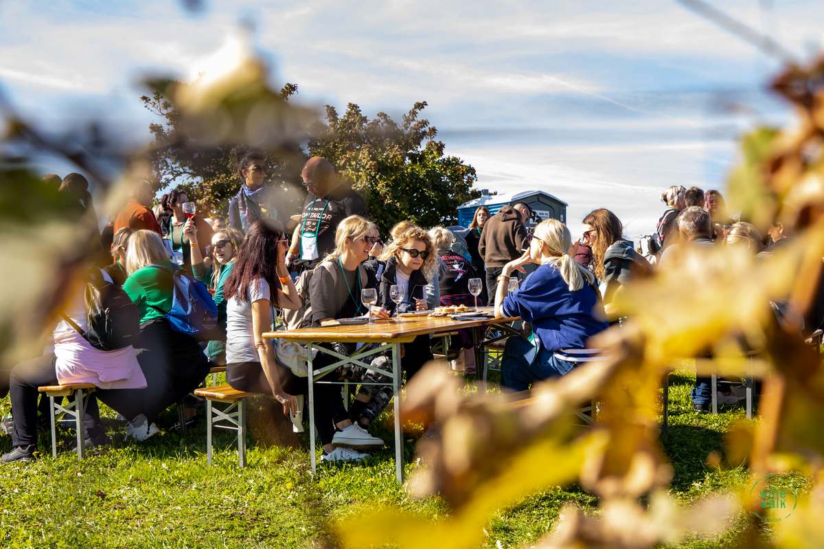 Wine & Walk Cestica foto – Spot doo (24) Wine & Walk Cestica foto – Spot doo (24)