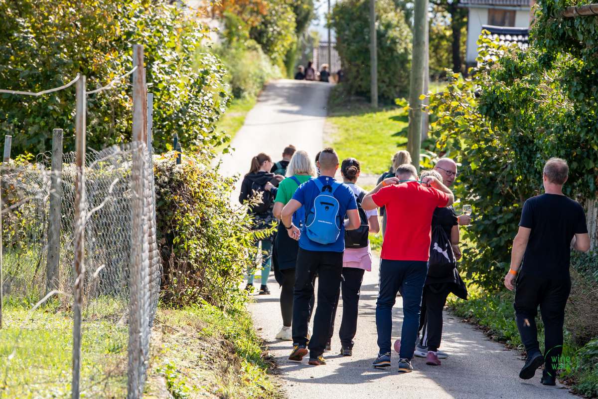 Wine & Walk Cestica foto – Spot doo (26) Wine & Walk Cestica foto – Spot doo (26)