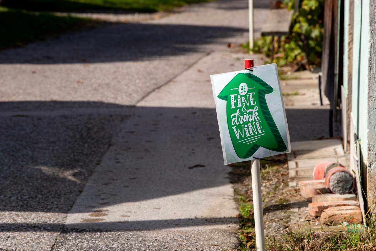 Wine & Walk Cestica foto – Spot doo (33) Wine & Walk Cestica foto – Spot doo (33)