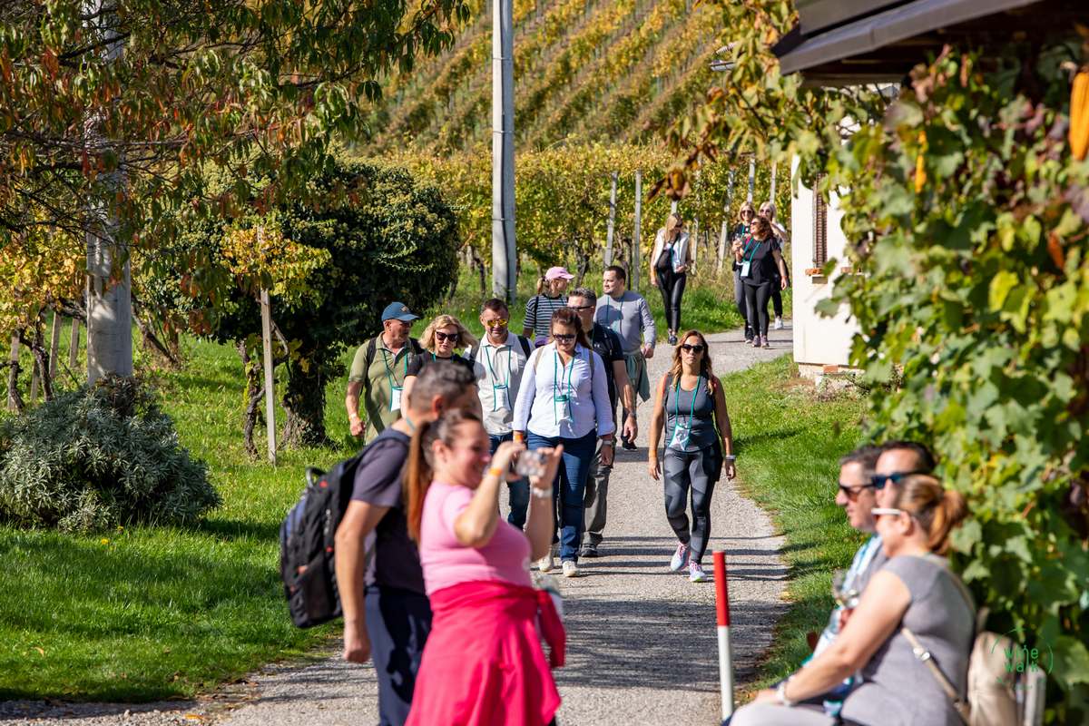 Wine & Walk Cestica foto – Spot doo (34) Wine & Walk Cestica foto – Spot doo (34)