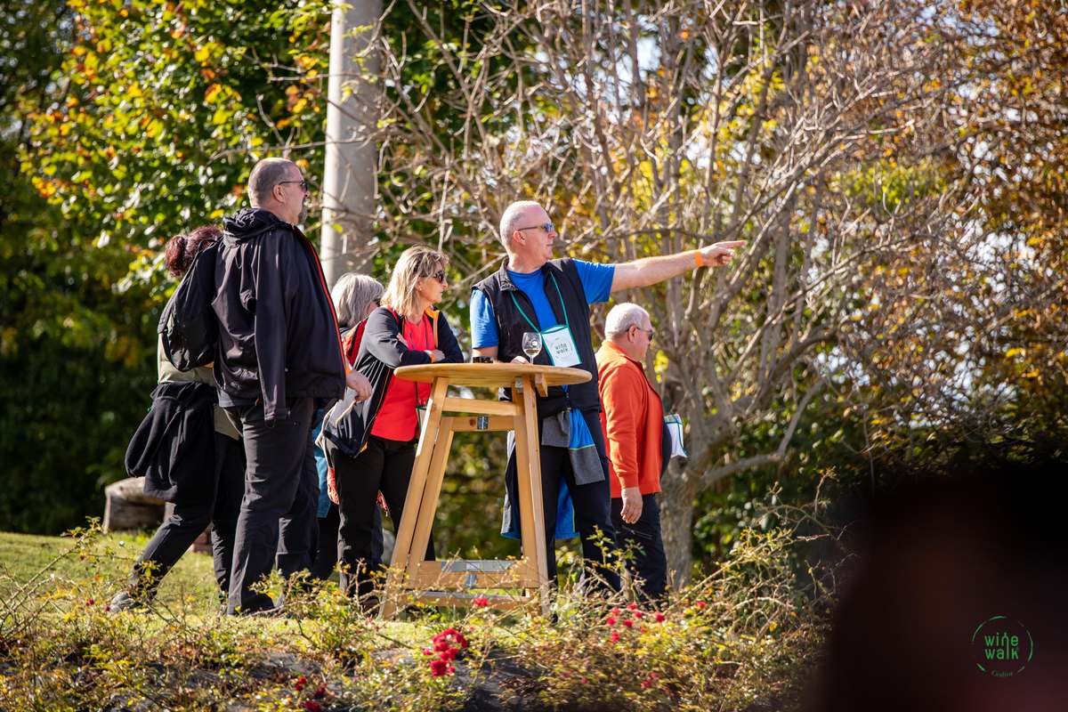 Wine & Walk Cestica foto – Spot doo (39) Wine & Walk Cestica foto – Spot doo (39)