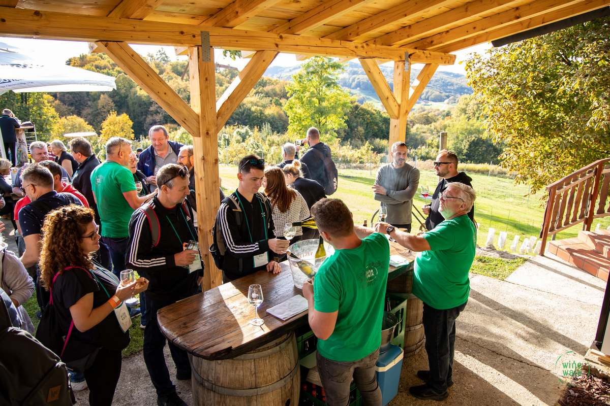 Wine & Walk Cestica foto – Spot doo (43) Wine & Walk Cestica foto – Spot doo (43)