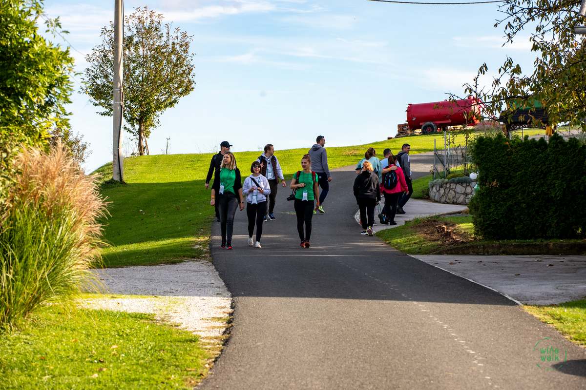 Wine & Walk Cestica foto – Spot doo (46) Wine & Walk Cestica foto – Spot doo (46)