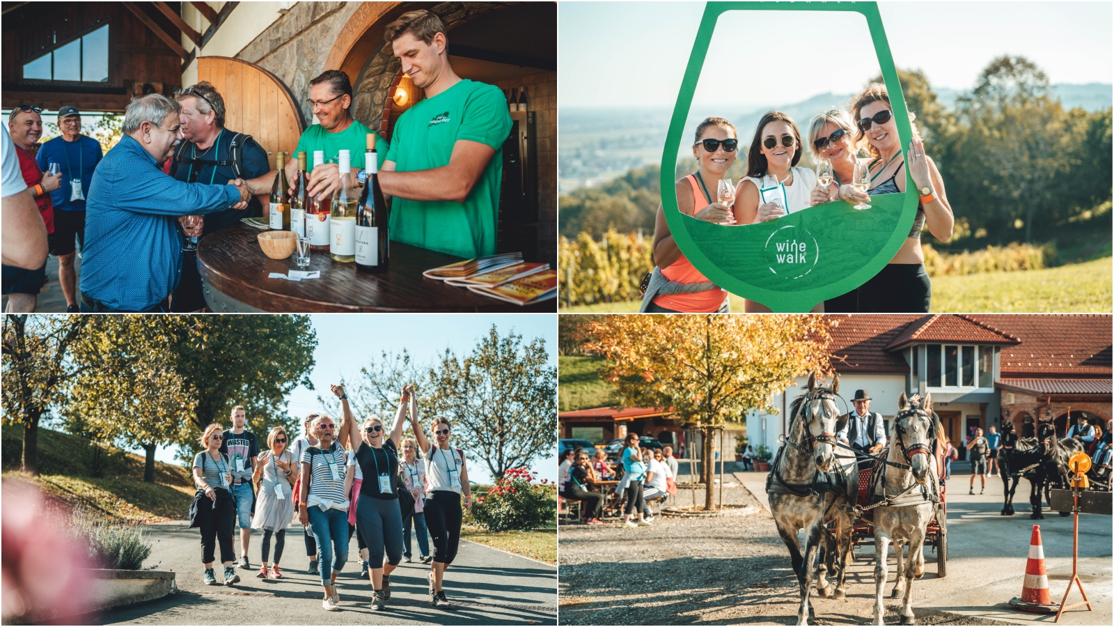 Wine_Walk Cestica_kolaz