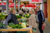 Zalogajček na placu Siniša Sović (10) Zalogajček na placu Siniša Sović (10)