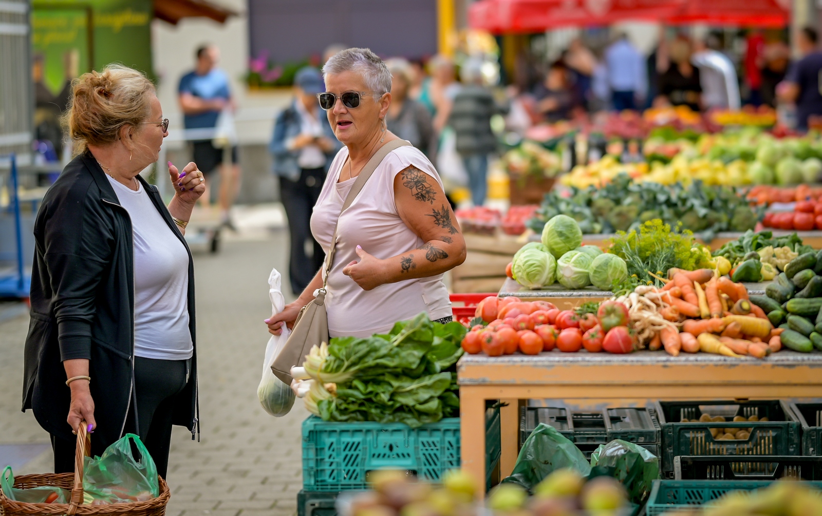Zalogajček na placu Siniša Sović (12) Zalogajček na placu Siniša Sović (12)